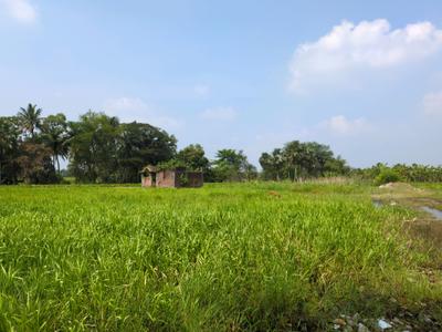 Image of 720 Sq.ft Residential Plot / Land for sale in Natures Paradise, Joka, Kolkata for Rs. 169998