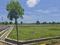 Urapakkam Plot View 2