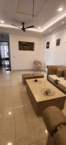 Hall Image of 1600 Sq.ft 3 BHK Apartment / Flat for sale in Pholriwal Jalandhar for Rs. 9500000