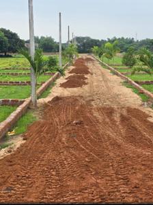 Image of 1200 Sq.ft Residential Plot / Land for sale in Phulnakhara, Cuttack for Rs. 1620000