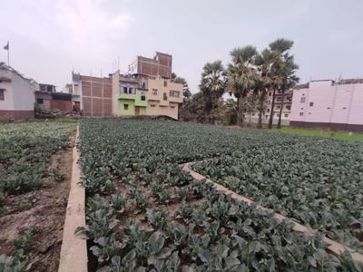 Image of 7800 Sq.ft Residential Plot / Land for sale in Ranipur, Patna for Rs. 34600000