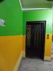 Hall Image of 750 Sq.ft 2 BHK Apartment / Flat for rent in Bansdroni Kolkata for Rs. 19000