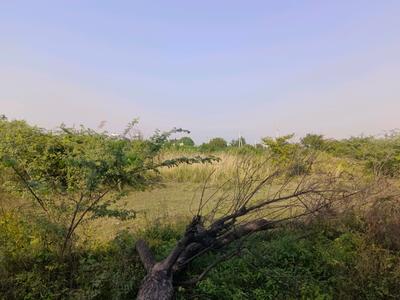 Image of 26 Sq.ft Residential Plot / Land for sale in Puth Khurd, New Delhi for Rs. 4000000