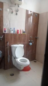 Image of 1150 Sq.ft 2 BHK Apartment / Flat for rent in Sikka Karnam Greens, Sector 143B, Noida for Rs. 41000