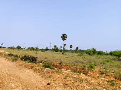 Image of 4624 Sq.ft Residential Plot / Land for sale in Avinashi Taluk, Tiruppur for Rs. 10000000