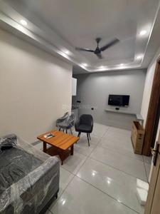 Hall Image of 910 Sq.ft 1 BHK Builder Floor for rent in Sector 28 Gurgaon for Rs. 35000