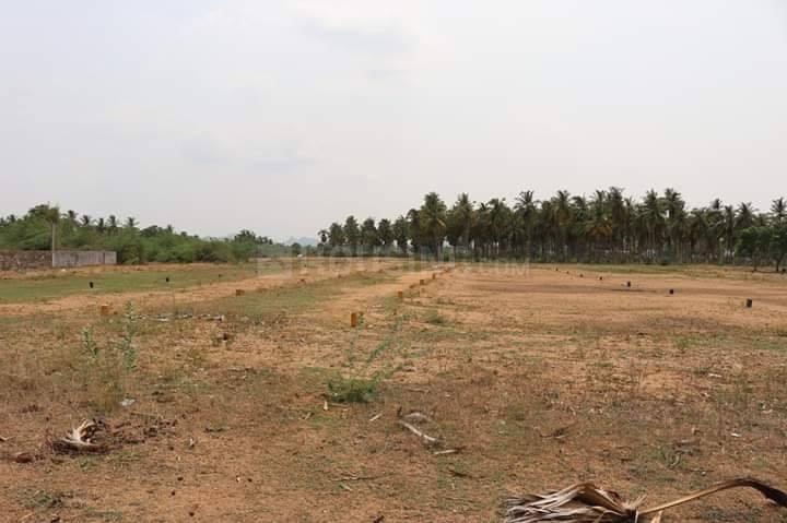 Arcot Main Image 1