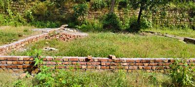 Anarwala Plot View 3