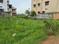 Urali Main Image 1