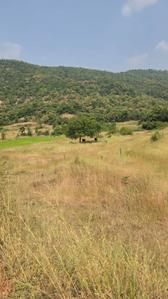 Image of 11000 Sq.ft Residential Plot / Land for sale in Kikvi, Pune for Rs. 1785000