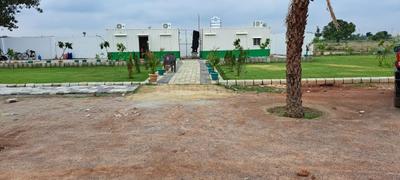 Plot View