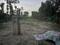 Sector 135 Main Image 1