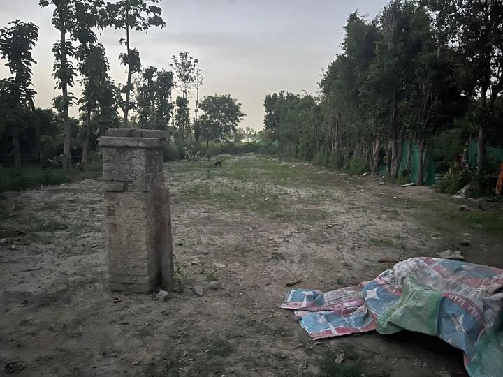 Sector 135 Main Image 1