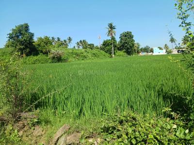 Image of 1500 Sq.ft Residential Plot / Land for sale in Shiv Jyoti Nagar, Tirupathi for Rs. 5000000