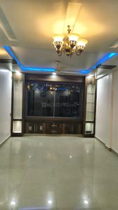 Hall Image of 1200 Sq.ft 2 BHK Apartment / Flat for rent in Vyapar Vihar Bilaspur for Rs. 20000