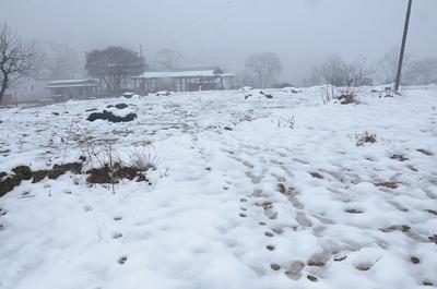 Image of 240 Sq.ft Residential Plot / Land for sale in Majkhali, Ranikhet for Rs. 3960000