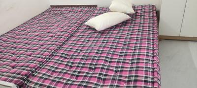Bedroom Image of 560 Sq.ft 1 BHK Apartment / Flat for rent in Rajat Rashmi Apartment, Koregaon Park Pune for Rs. 32000