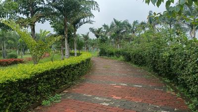 Image of 1000 Sq.ft Residential Plot / Land for sale in Kandul, Raipur for Rs. 3200000
