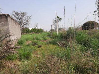 Image of 1332 Sq.ft Residential Plot / Land for sale in Pilkhuwa, Hapur for Rs. 1200000