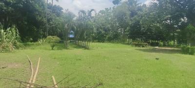 Image of 72000 Sq.ft 3 BHK Farm House for sale in Rajpur, Kolkata for Rs. 100000000