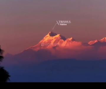 Image of 10050 Sq.ft Residential Plot / Land for sale in Pandey Kota, Ranikhet for Rs. 7000000
