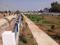 BRUNDAVANAM Plot View 2