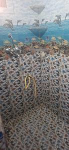 Bathroom Image of 350 Sq.ft 1 BHK Apartment / Flat for rent in Tonk Road Jaipur for Rs. 14000