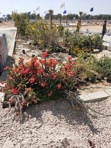 Image of 804 Sq.ft Residential Plot / Land for sale in Bhankrota, Jaipur for Rs. 2121000