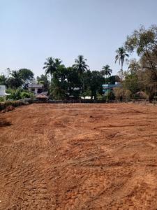 40 Cent Housing Plot for Sale Plot View 3