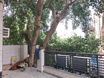 Bedroom Image of 400 Sq.ft 1 RK Builder Floor for rent in Baljit Nagar New Delhi for Rs. 16000
