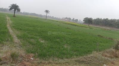 Image of 1200 Sq.ft Residential Plot / Land for sale in Sampatchak, Patna for Rs. 2500000