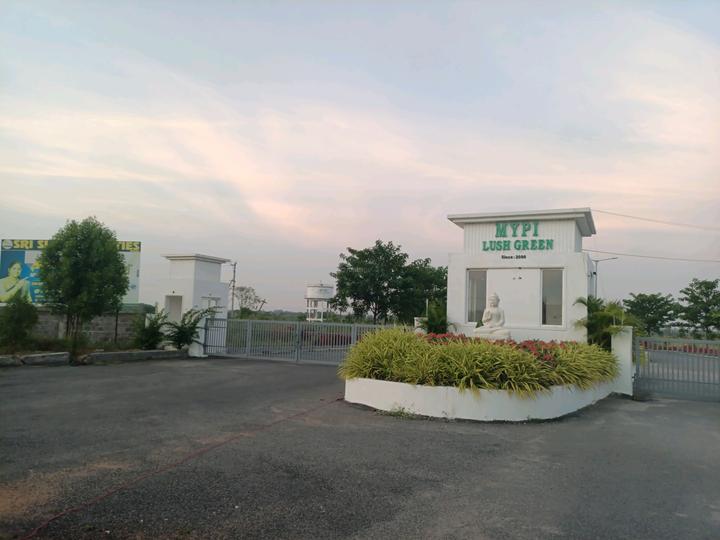 Mypu Lush Green Main Image 1