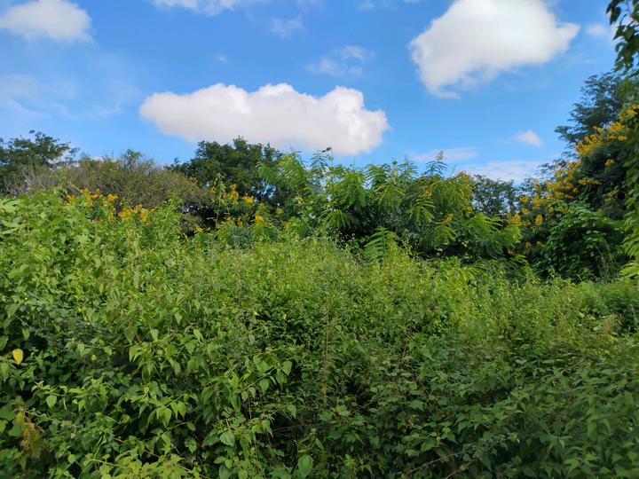 Vajarahalli Main Image 1