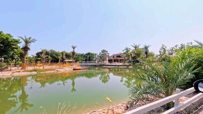 Image of 1831 Sq.ft Residential Plot / Land for sale in Kundal, Mehsana for Rs. 12500000