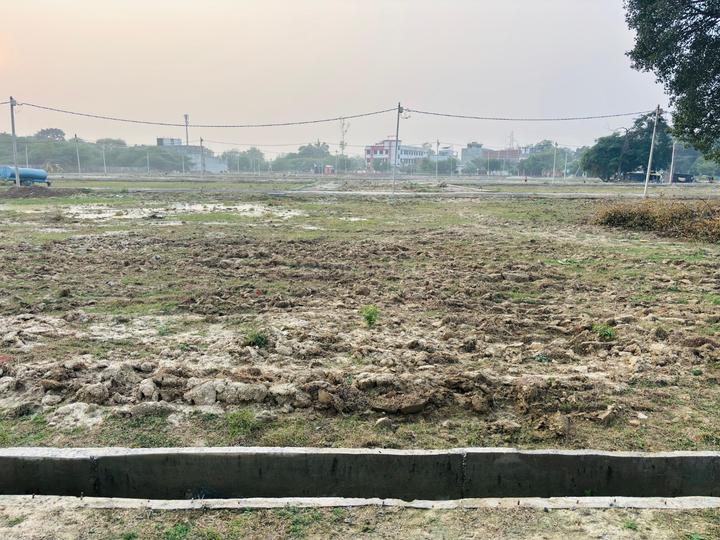 Woodland Paradise Rudraksh Kalptaru Main Image 1