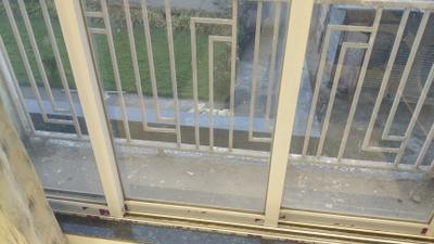 Image of 762 Sq.ft 2 BHK Apartment / Flat for sale in Bhiwandi, Thane for Rs. 4100000