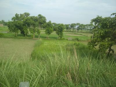 Saran Plot View 2