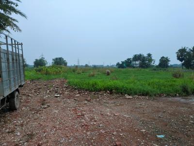Nest Valley Main Image 1