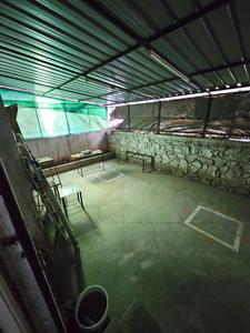 Balcony Image of 3044 Sq.ft 4.5 BHK Independent House for sale in Kolte Patil Maestros, Wanowrie Pune for Rs. 38000000