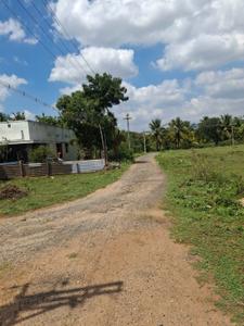 Image of 1750 Sq.ft Residential Plot / Land for sale in Othakalmandapam, Coimbatore for Rs. 2800000