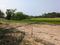 Golden city 2 Plot View 1