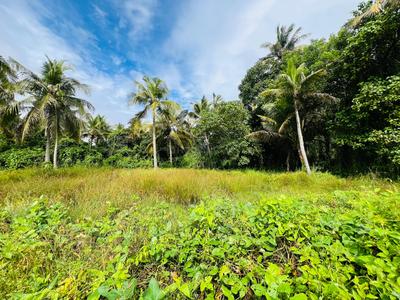 Image of 436 Sq.ft Residential Plot / Land for sale in Arookutty, Kochi for Rs. 375000
