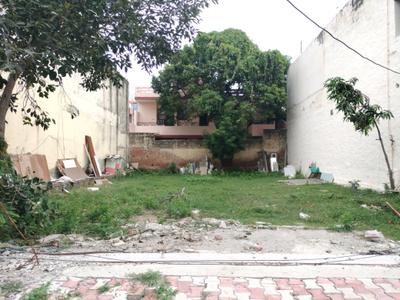 Sector 9 Plot View 1