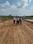 Sultanpur Road Main Image 1