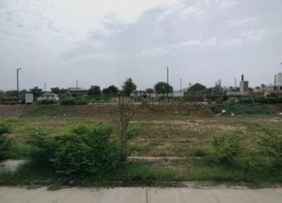 Image of 200 Sq.ft Residential Plot / Land for sale in Mansha Oasis, Sector 123, Faridabad for Rs. 18600000