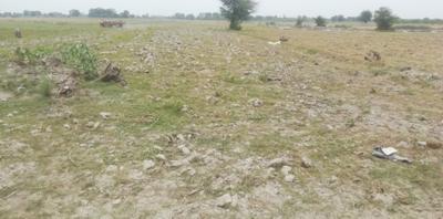 Image of 54440 Sq.ft Residential Plot / Land for sale in Amaniganj, Ayodhya for Rs. 9000000