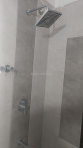 Image of 1175 Sq.ft 2 BHK Apartment / Flat for rent in Pristine Prolife, Wakad, Pune for Rs. 32000