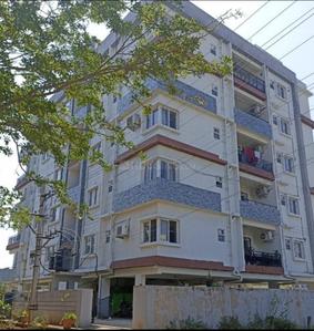 Image of 1440 Sq.ft 3 BHK Apartment / Flat for rent in Srida Padmalayam, Mangalam, Tirupathi for Rs. 22000