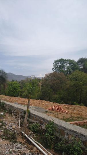 johri road Main Image 1