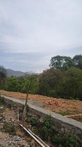 johri road Plot View 1